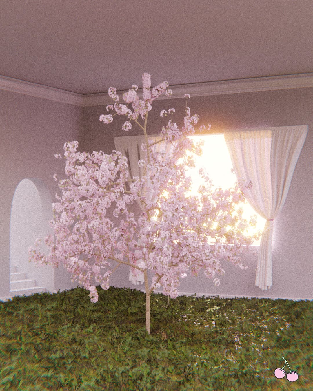 Cherry Blossom